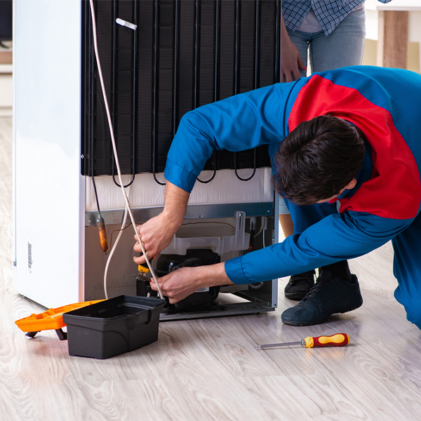 what are the common refrigerator repair services in Sargeant MN